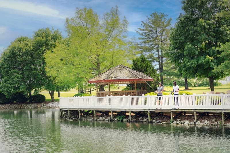 Lincoln Recovery — Raymond, Illinois